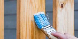 OC Painting the Fence